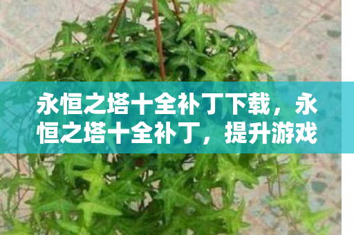 永恒之塔十全补丁下载,永恒之塔十全补丁,提升游戏体验的必备神器 永恒之塔十全补丁下载,永恒之塔十全补丁,提升游戏体验的必备神器