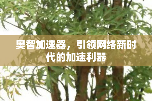 奥智加速器,引领网络新时代的加速利器 奥智加速器,引领网络新时代的加速利器