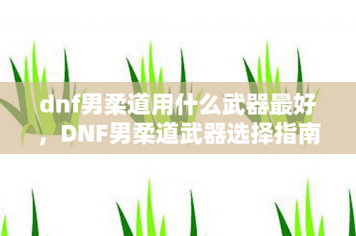 dnf男柔道用什么武器最好,DNF男柔道武器选择指南,打造最强战斗力的关键 dnf男柔道用什么武器最好,DNF男柔道武器选择指南,打造最强战斗力的关键