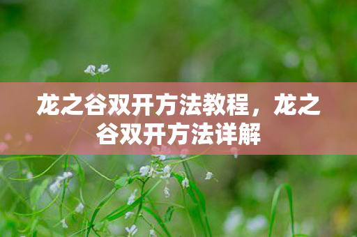 龙之谷双开方法教程，龙之谷双开方法详解