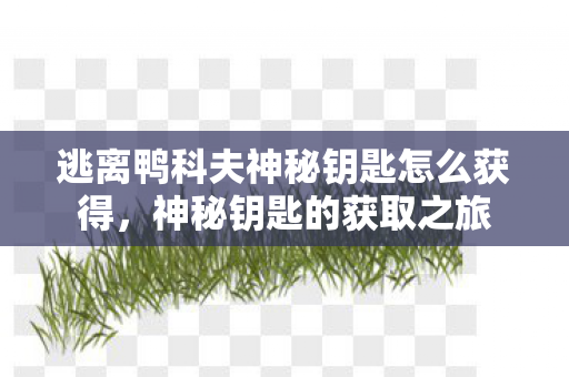逃离鸭科夫神秘钥匙怎么获得,神秘钥匙的获取之旅 逃离鸭科夫神秘钥匙怎么获得,神秘钥匙的获取之旅