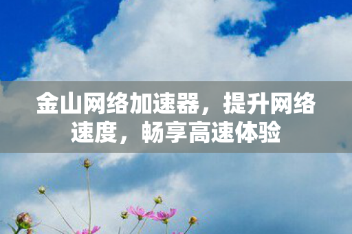 金山网络加速器，提升网络速度，畅享高速体验