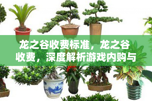 龙之谷收费标准,龙之谷 收费,深度解析游戏内购与会员制度 龙之谷收费标准,龙之谷 收费,深度解析游戏内购与会员制度