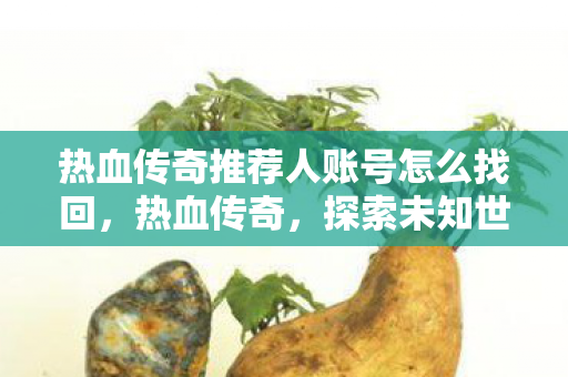 热血传奇推荐人账号怎么找回,热血传奇,探索未知世界的神秘邀请 热血传奇推荐人账号怎么找回,热血传奇,探索未知世界的神秘邀请