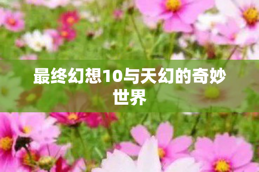 最终幻想10与天幻的奇妙世界 最终幻想10与天幻的奇妙世界