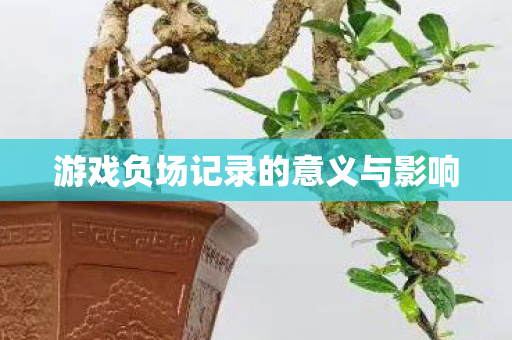 游戏负场记录的意义与影响 游戏负场记录的意义与影响