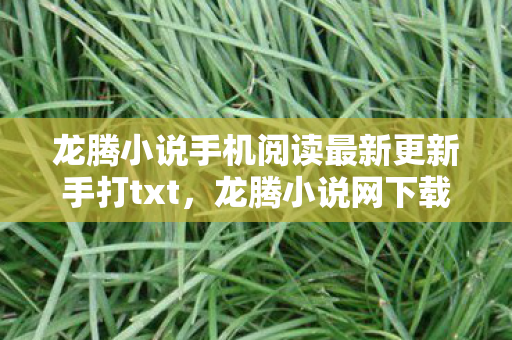 龙腾小说手机阅读最新更新手打txt,龙腾小说网下载,便捷阅读新体验 龙腾小说手机阅读最新更新手打txt,龙腾小说网下载,便捷阅读新体验