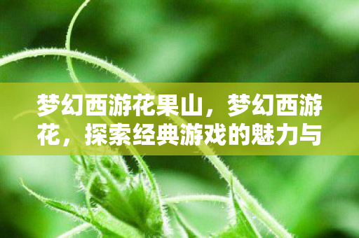 梦幻西游花果山,梦幻西游花,探索经典游戏的魅力与传承 梦幻西游花果山,梦幻西游花,探索经典游戏的魅力与传承