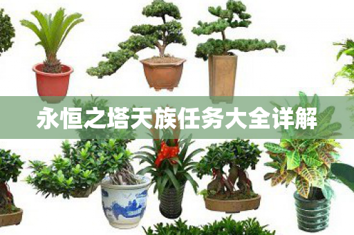永恒之塔天族任务大全详解