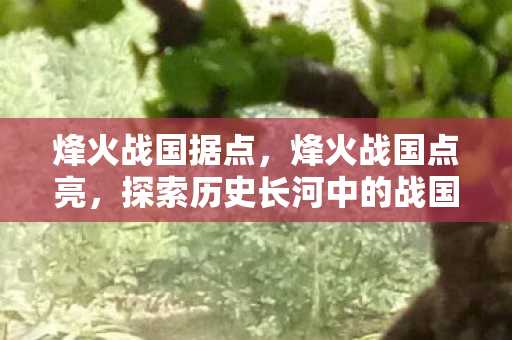 烽火战国据点,烽火战国点亮,探索历史长河中的战国烽火 烽火战国据点,烽火战国点亮,探索历史长河中的战国烽火