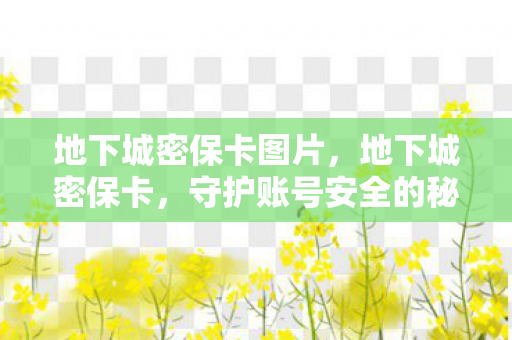 地下城密保卡图片,地下城密保卡,守护账号安全的秘密武器 地下城密保卡图片,地下城密保卡,守护账号安全的秘密武器