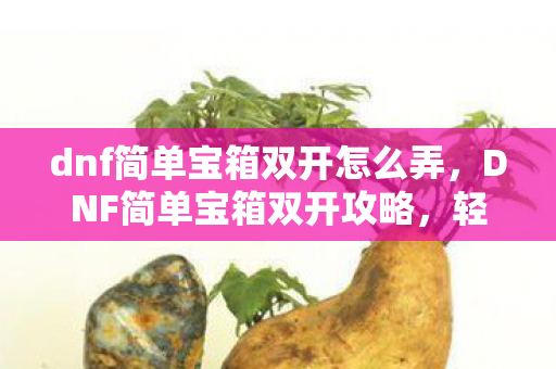 dnf简单宝箱双开怎么弄,DNF简单宝箱双开攻略,轻松实现游戏双开,提升游戏效率 dnf简单宝箱双开怎么弄,DNF简单宝箱双开攻略,轻松实现游戏双开,提升游戏效率