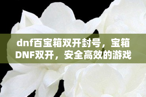 dnf百宝箱双开封号,宝箱DNF双开,安全高效的游戏体验 dnf百宝箱双开封号,宝箱DNF双开,安全高效的游戏体验
