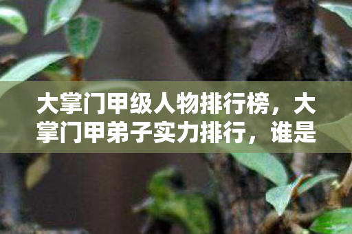 大掌门甲级人物排行榜,大掌门甲弟子实力排行,谁是江湖中的顶尖高手? 大掌门甲级人物排行榜,大掌门甲弟子实力排行,谁是江湖中的顶尖高手?