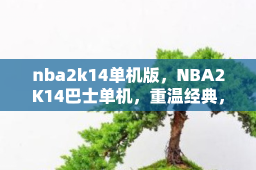 nba2k14单机版,NBA2K14巴士单机,重温经典,尽享篮球盛宴 nba2k14单机版,NBA2K14巴士单机,重温经典,尽享篮球盛宴