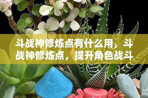 斗战神修炼点有什么用,斗战神修炼点,提升角色战斗力的关键要素 斗战神修炼点有什么用,斗战神修炼点,提升角色战斗力的关键要素