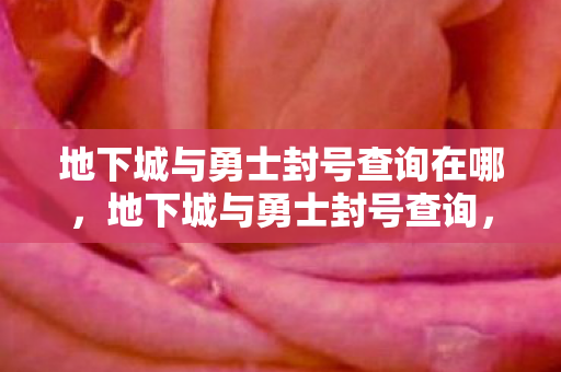 地下城与勇士封号查询在哪,地下城与勇士封号查询,如何安全、有效地查询账号状态 地下城与勇士封号查询在哪,地下城与勇士封号查询,如何安全、有效地查询账号状态