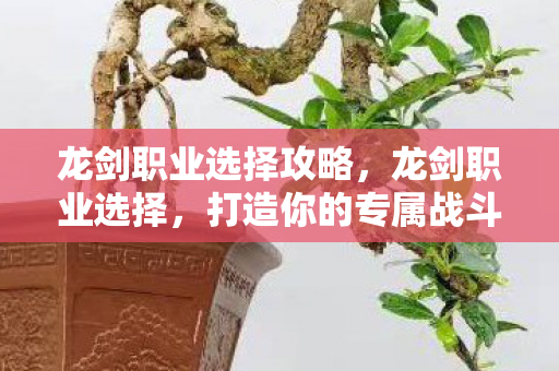 龙剑职业选择攻略,龙剑职业选择,打造你的专属战斗风格 龙剑职业选择攻略,龙剑职业选择,打造你的专属战斗风格