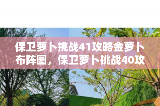 保卫萝卜挑战41攻略金萝卜布阵图,保卫萝卜挑战40攻略金萝卜布阵图 保卫萝卜挑战41攻略金萝卜布阵图,保卫萝卜挑战40攻略金萝卜布阵图