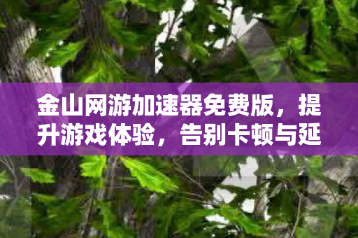 金山网游加速器免费版,提升游戏体验,告别卡顿与延迟 金山网游加速器免费版,提升游戏体验,告别卡顿与延迟
