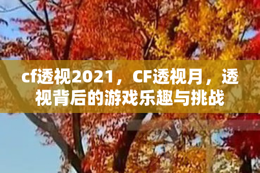 cf透视2021，CF透视月，透视背后的游戏乐趣与挑战