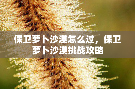 保卫萝卜沙漠怎么过,保卫萝卜沙漠挑战攻略 保卫萝卜沙漠怎么过,保卫萝卜沙漠挑战攻略