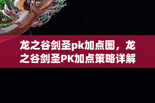 龙之谷剑圣pk加点图,龙之谷剑圣PK加点策略详解 龙之谷剑圣pk加点图,龙之谷剑圣PK加点策略详解