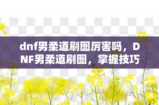 dnf男柔道刷图厉害吗,DNF男柔道刷图,掌握技巧,提升效率 dnf男柔道刷图厉害吗,DNF男柔道刷图,掌握技巧,提升效率