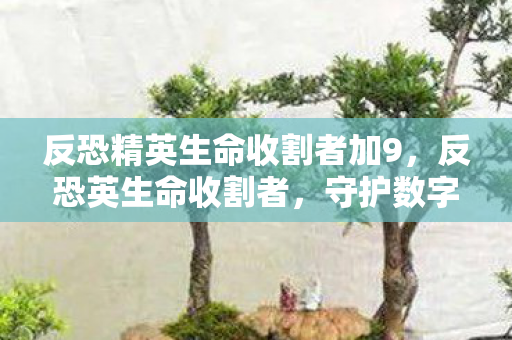 反恐精英生命收割者加9,反恐英生命收割者,守护数字世界的正义力量 反恐精英生命收割者加9,反恐英生命收割者,守护数字世界的正义力量