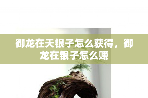 御龙在天银子怎么获得,御龙在银子怎么赚 御龙在天银子怎么获得,御龙在银子怎么赚