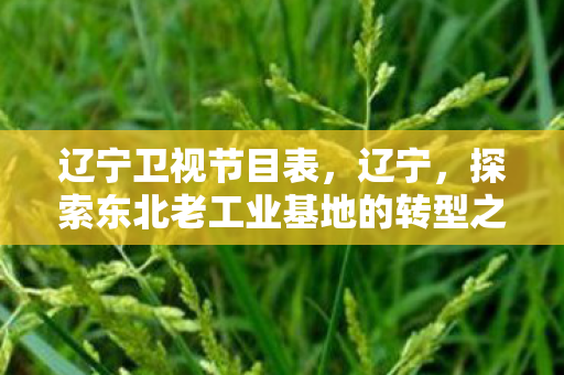 辽宁卫视节目表,辽宁,探索东北老工业基地的转型之路 辽宁卫视节目表,辽宁,探索东北老工业基地的转型之路