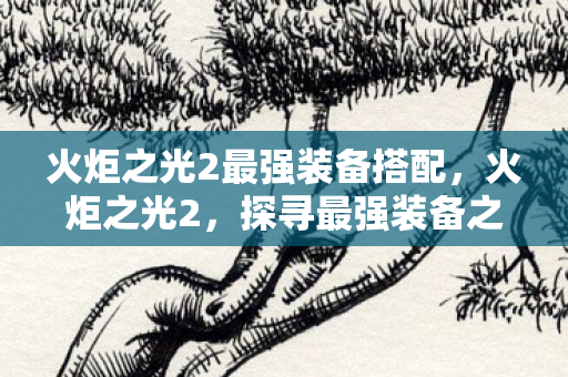 火炬之光2最强装备搭配,火炬之光2,探寻最强装备之路 火炬之光2最强装备搭配,火炬之光2,探寻最强装备之路