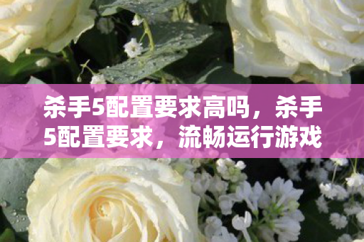杀手5配置要求高吗,杀手5配置要求,流畅运行游戏的硬件指南 杀手5配置要求高吗,杀手5配置要求,流畅运行游戏的硬件指南