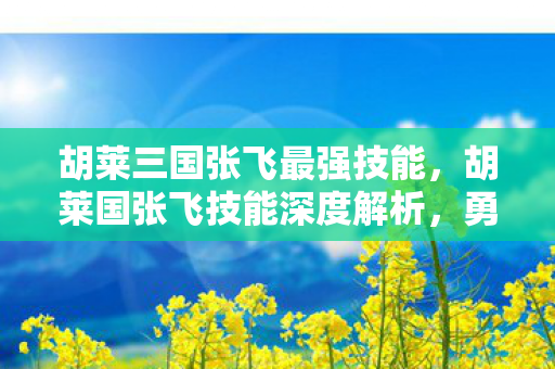 胡莱三国张飞最强技能,胡莱国张飞技能深度解析,勇猛与智谋的完美结合 胡莱三国张飞最强技能,胡莱国张飞技能深度解析,勇猛与智谋的完美结合