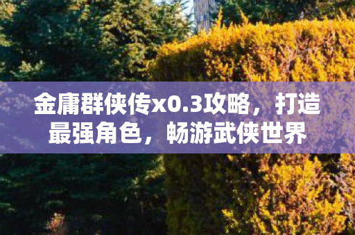 金庸群侠传x0.3攻略,打造最强角色,畅游武侠世界 金庸群侠传x0.3攻略,打造最强角色,畅游武侠世界