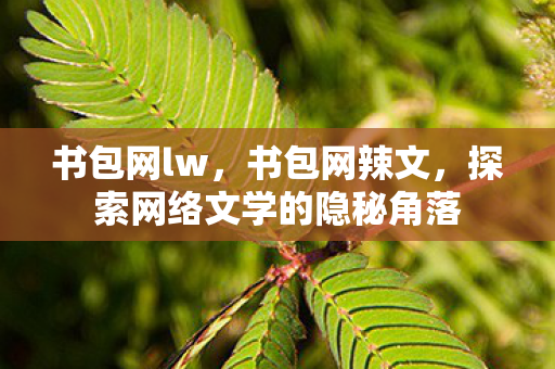 书包网lw,书包网辣文,探索网络文学的隐秘角落 书包网lw,书包网辣文,探索网络文学的隐秘角落