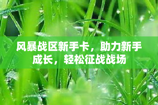 风暴战区新手卡，助力新手成长，轻松征战战场