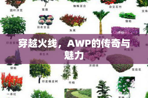 穿越火线,AWP的传奇与魅力 穿越火线,AWP的传奇与魅力