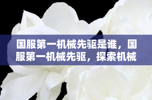 国服第一机械先驱是谁，国服第一机械先驱，探索机械先驱的极致之路