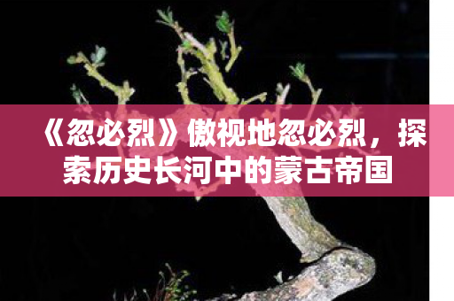 《忽必烈》傲视地忽必烈,探索历史长河中的蒙古帝国 《忽必烈》傲视地忽必烈,探索历史长河中的蒙古帝国