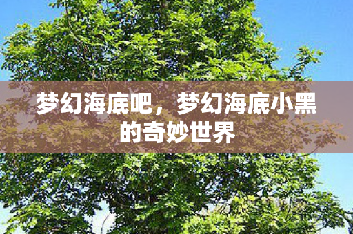 梦幻海底吧,梦幻海底小黑的奇妙世界 梦幻海底吧,梦幻海底小黑的奇妙世界