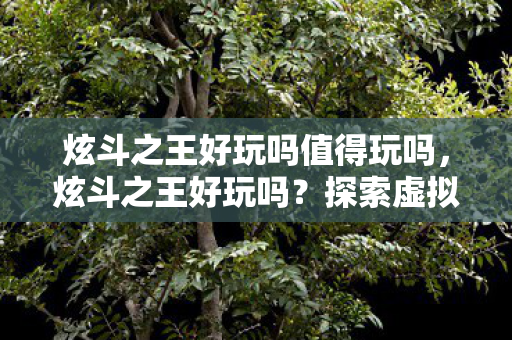 炫斗之王好玩吗值得玩吗,炫斗之王好玩吗?探索虚拟世界的无尽乐趣 炫斗之王好玩吗值得玩吗,炫斗之王好玩吗?探索虚拟世界的无尽乐趣