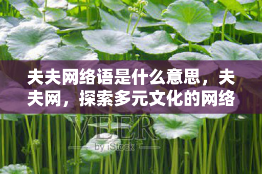 夫夫网络语是什么意思,夫夫网,探索多元文化的网络社群 夫夫网络语是什么意思,夫夫网,探索多元文化的网络社群