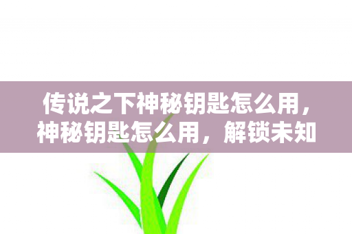 传说之下神秘钥匙怎么用,神秘钥匙怎么用,解锁未知世界的奇妙之旅 传说之下神秘钥匙怎么用,神秘钥匙怎么用,解锁未知世界的奇妙之旅