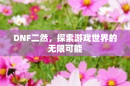 DNF二然，探索游戏世界的无限可能