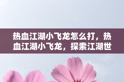 热血江湖小飞龙怎么打,热血江湖小飞龙,探索江湖世界的无限可能 热血江湖小飞龙怎么打,热血江湖小飞龙,探索江湖世界的无限可能