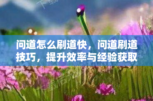 问道怎么刷道快，问道刷道技巧，提升效率与经验获取