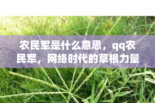 农民军是什么意思,qq农民军,网络时代的草根力量 农民军是什么意思,qq农民军,网络时代的草根力量