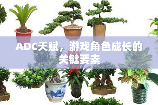 ADC天赋,游戏角色成长的关键要素 ADC天赋,游戏角色成长的关键要素