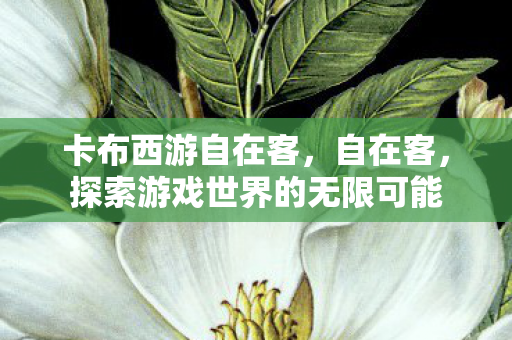 卡布西游自在客,自在客,探索游戏世界的无限可能 卡布西游自在客,自在客,探索游戏世界的无限可能